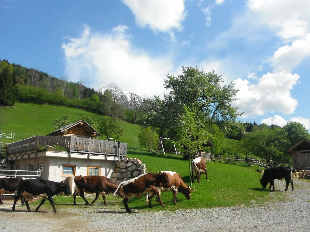 Berghof Thurnergut Spital Am Pyhrn Exteriör bild
