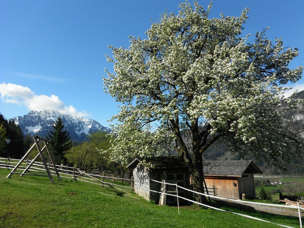 Berghof Thurnergut Spital Am Pyhrn Exteriör bild