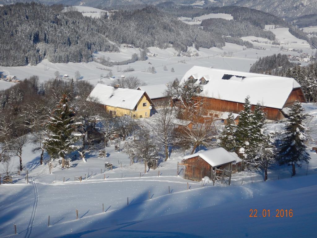 Berghof Thurnergut Spital Am Pyhrn Exteriör bild